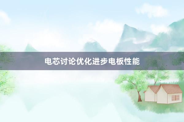 电芯讨论优化进步电板性能
