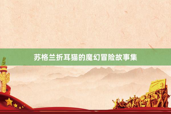 苏格兰折耳猫的魔幻冒险故事集