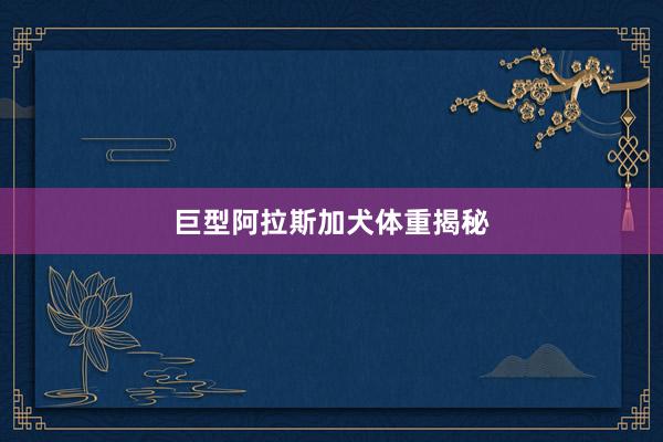 巨型阿拉斯加犬体重揭秘